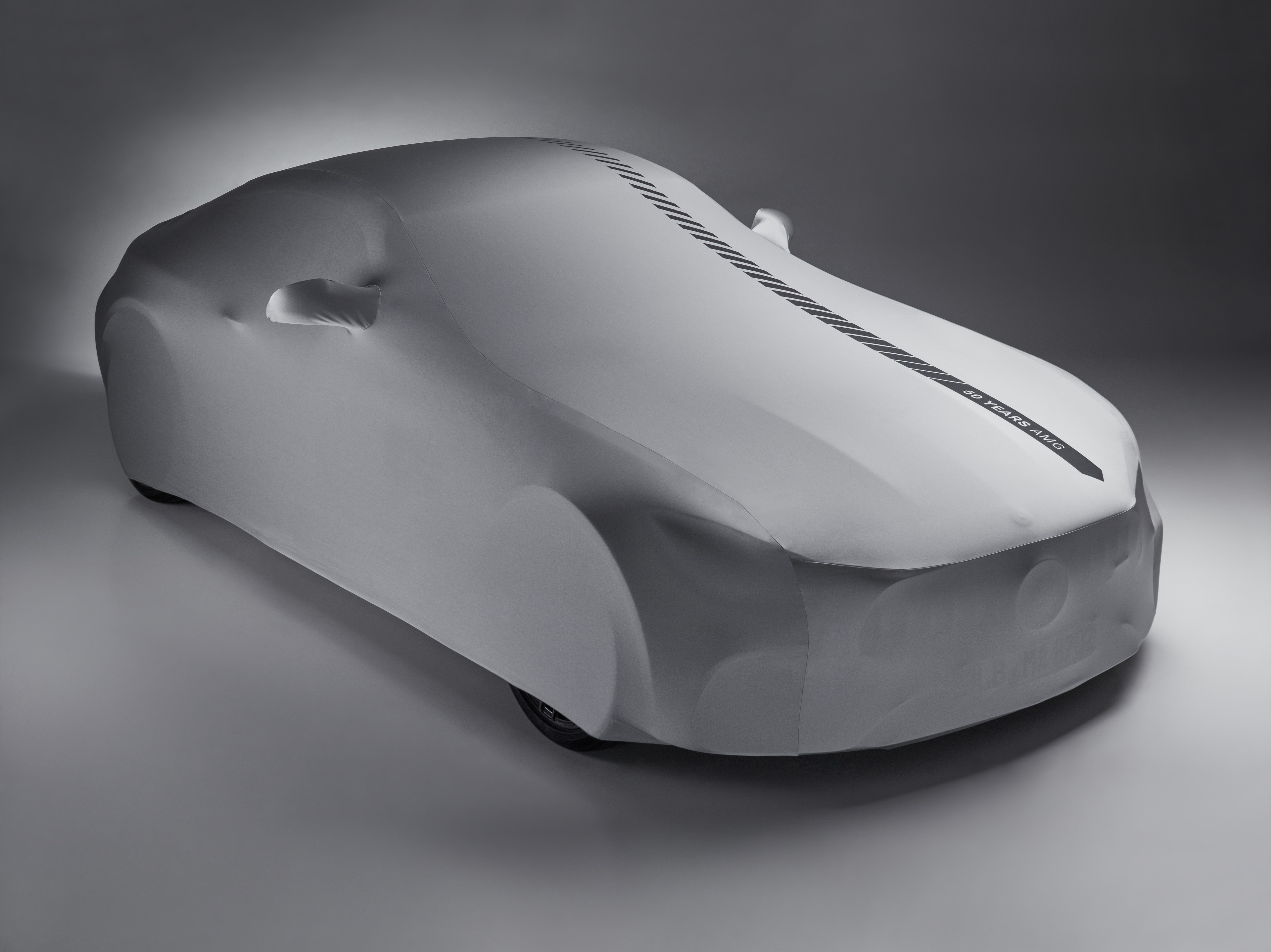 AMG Indoor-Car-Cover - Polyamid / Polyester, silberfarben