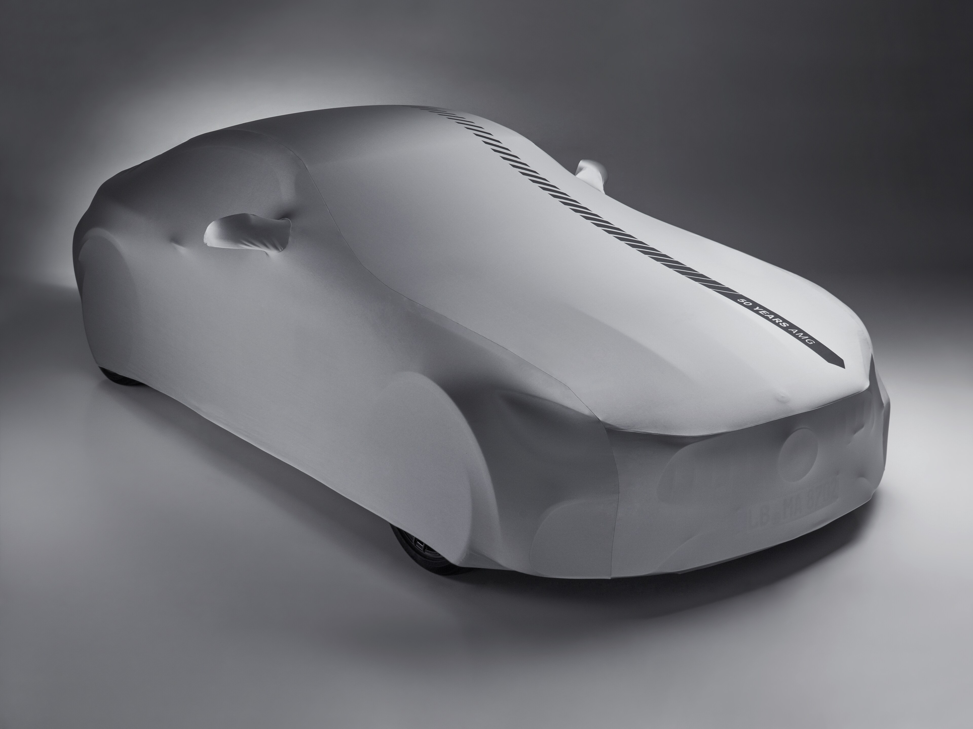 AMG Indoor-Car-Cover - Polyamid / Polyester, silberfarben