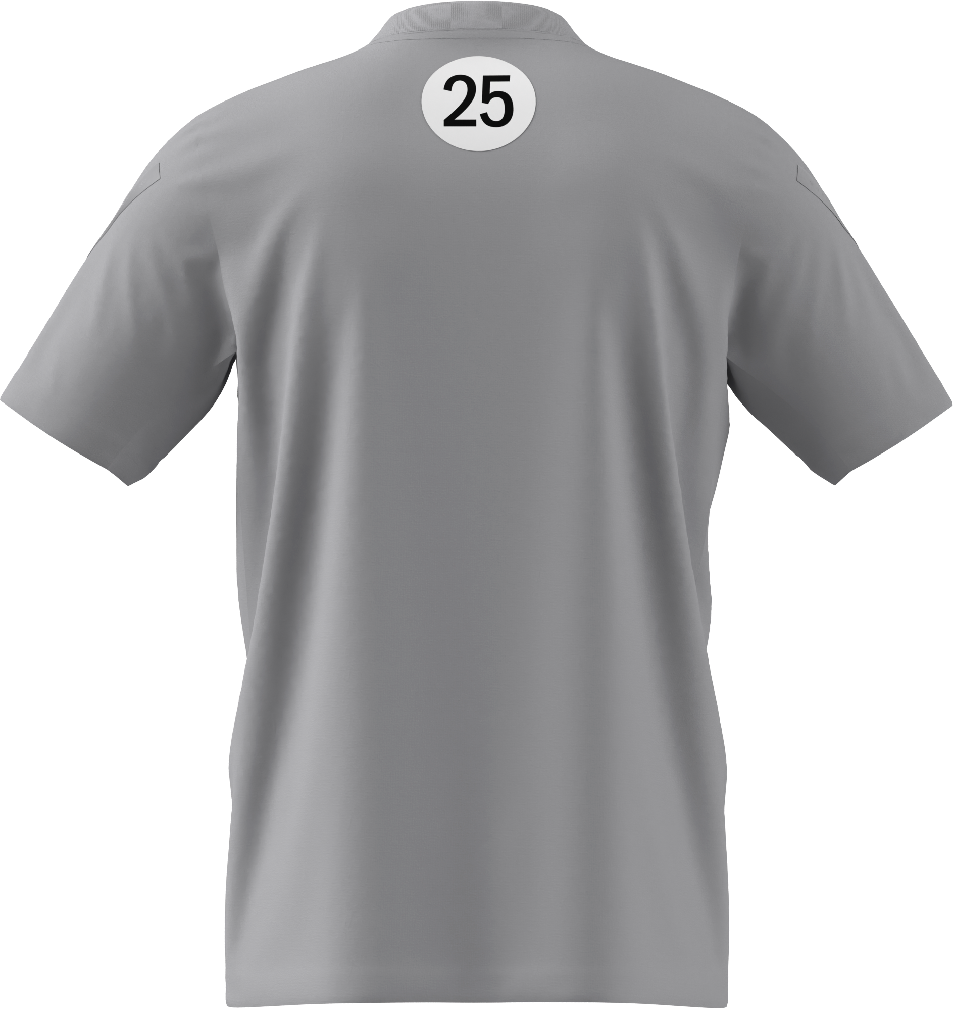 T-Shirt Herren, Mercedes-AMG F1, Special Edition Silverstone 2025 - grau, XS